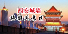 操操操,com中国陕西-西安城墙旅游风景区
